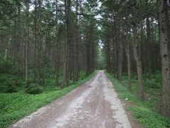 -百里天路