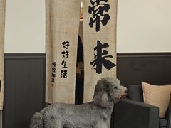 -沏点Trattoria意大利餐厅(新街口店)