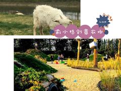 -前小桔亲子创意农场·草莓采摘·露营烧烤