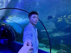 -左海海底世界