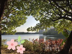 -广东花都湖国家湿地公园