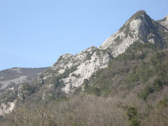 景点-朱雀国家森林公园