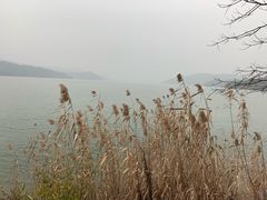 -天目湖涵田半山温泉