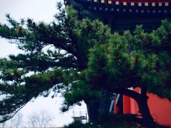 -北京市劳动人民文化宫(太庙)