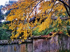 -惠山古镇·寄畅园