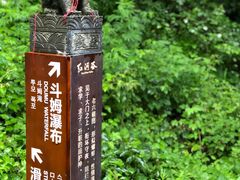 -陕西省红河谷森林公园