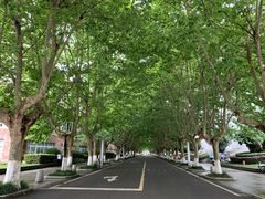 -四川农业大学(雅安校区)