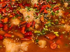 -向川南·水煮鱼·川菜(和平里店)