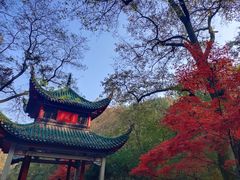 -岳麓山风景名胜区
