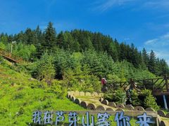 -芦芽山旅游度假区