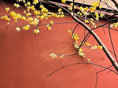 -钱王祠