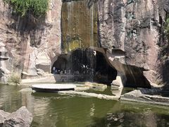 -蛇蟠岛