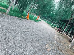 -西青郊野公园
