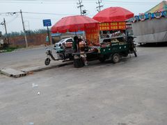 -石家庄市植物园