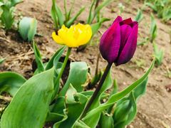 -长春公园(普阳街道)