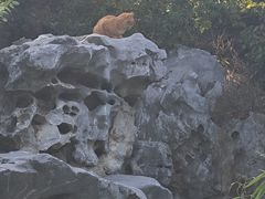 -红灯笼大酒楼(通湖路店)