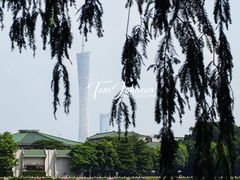-东山湖公园