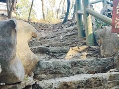 -玉女潭景区