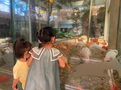 火烈鸟-白虎自助餐厅·真老虎·景观自助餐厅(广州长隆酒店)