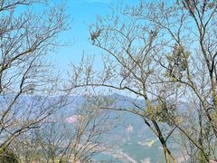 -金堂县云顶石城风景区