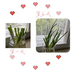 -爱尔乐美孕产瑜伽·普拉提