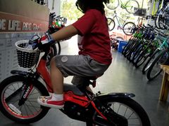 -GIANT捷安特自行车专卖店(金桥台儿庄路店)