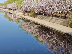 -元大都城垣遗址公园