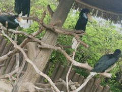 -上海野生动物园