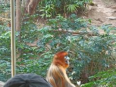 -香港海洋公园