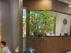 -天使口腔门诊部(上海店)