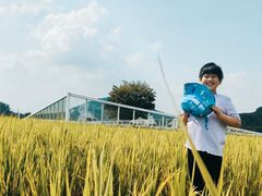 -艾米稻香小镇