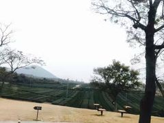 -龙头岩(Dragon Head Rock)