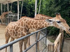 -泉州海丝野生动物世界