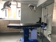 -爱侣宠医·鹦鹉专科·小型哺乳类·异宠专科(灵石路店)