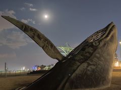 -烟台金沙滩海滨公园