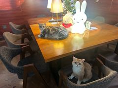 -咖法森林·咖啡  酒吧(天河店)