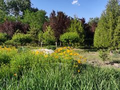 -永定河休闲森林公园