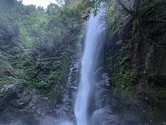 -莫里热带雨林景区
