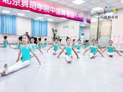 -梧桐花语舞蹈培训中心(潞城校区)