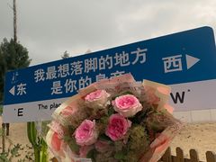 -西涌国际滨海旅游区