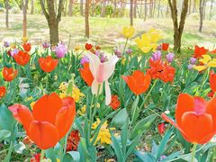 -郑州中国绿化博览园