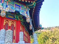 -香山公园