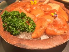 -季季山·云南野生菌火锅(上海首店)