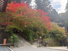 -三千院