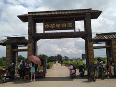 -中华茉莉园