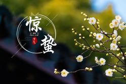 -姜美堂·蒸姜除湿の纤体美颜馆