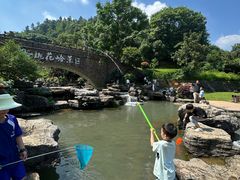-桃花岭景区