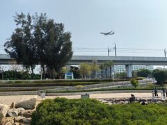 -宝安西湾红树林湿地公园