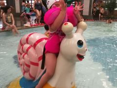 游乐设施-南宫温泉水世界