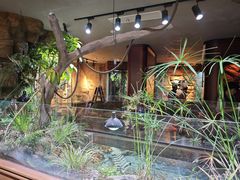 -帕帕拉兹宠物(亚洲旗舰店)